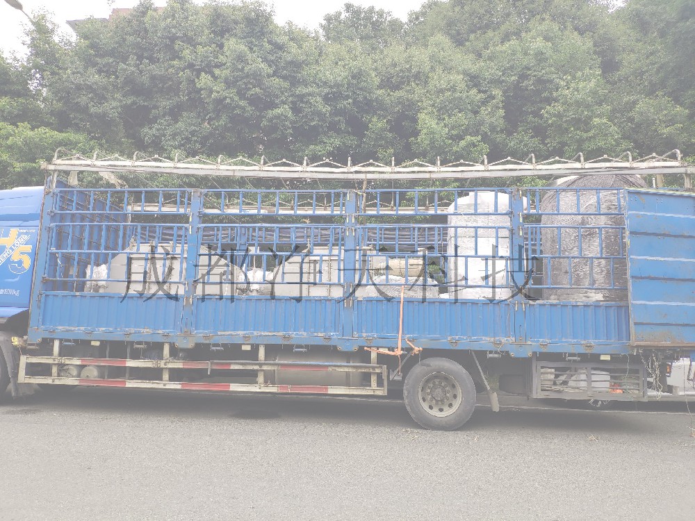 沼气发电机SCR脱硝反应器